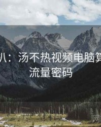 独家深扒：汤不热视频电脑算法揭秘流量密码