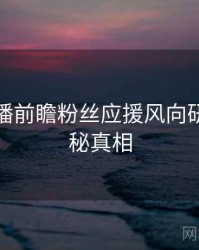 杏吧直播前瞻粉丝应援风向研判，揭秘真相