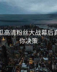 每日吃瓜高清粉丝大战幕后真相，助你决策