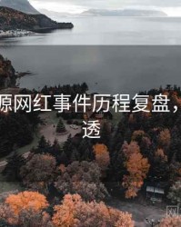 黑料资源网红事件历程复盘，带你看透