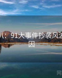 独家深扒：91大事件抄袭风波背后原因