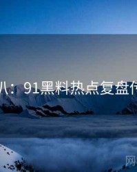 独家深扒：91黑料热点复盘传播路径