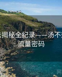 高清算法揭秘全纪录——汤不热网页版流量密码