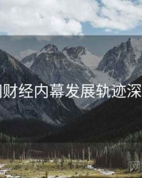 91网财经内幕发展轨迹深解析