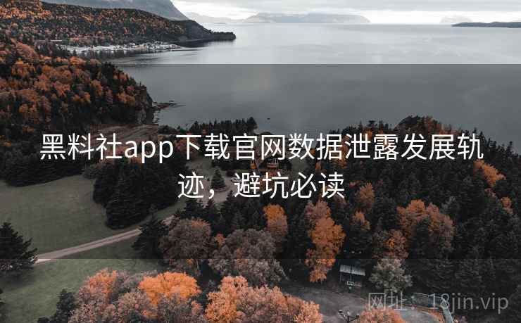 黑料社app下载官网数据泄露发展轨迹，避坑必读